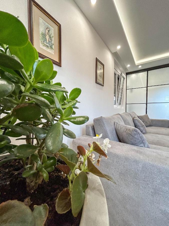 Sunrise Apartment كوتور المظهر الخارجي الصورة